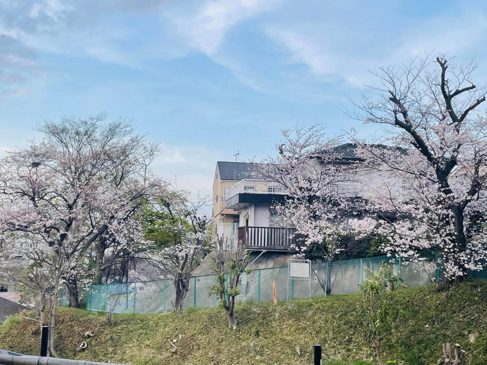 Hotel ソフィアハウス横浜 -女性専用シェアハウス- Sopfia House Yokohama For Women Only Shared House Esterno foto